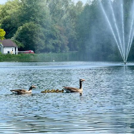 Luxury Kingfisher Lodge, Isis Lake, Within The Cotswold Waterpark Cirencester Zewnętrze zdjęcie