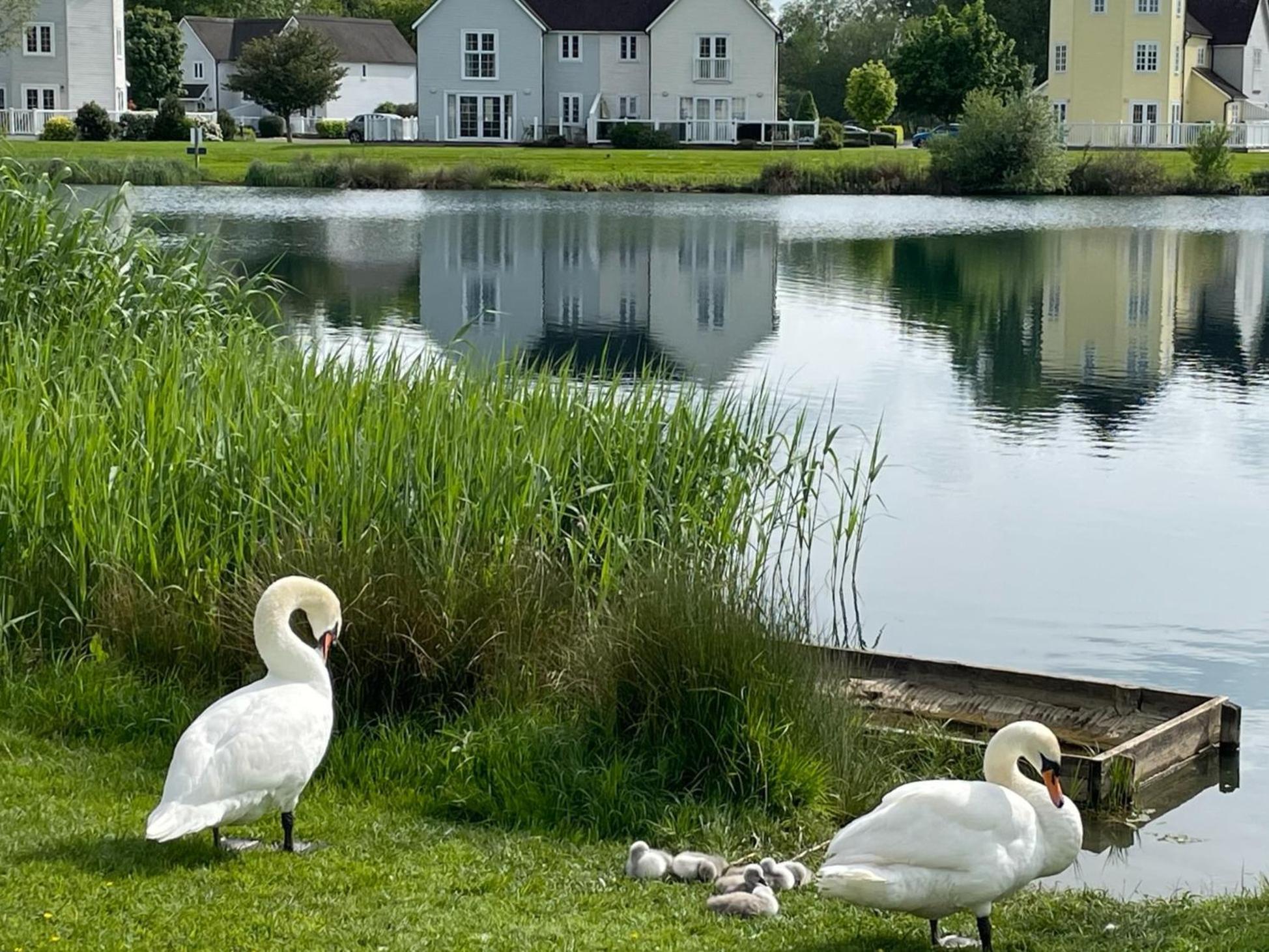 Luxury Kingfisher Lodge, Isis Lake, Within The Cotswold Waterpark Cirencester Zewnętrze zdjęcie